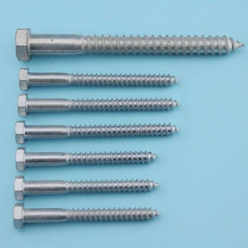 Square Head Lag Screw with Fetter Drive Point China Manufacturer